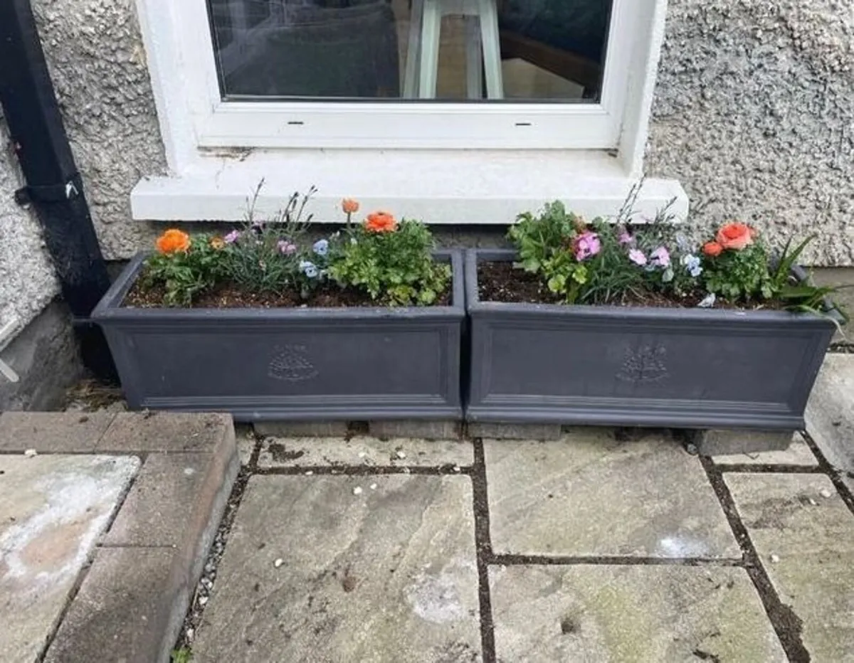 Grey JC & Co Rectangular Trough Flower Pots - Image 1