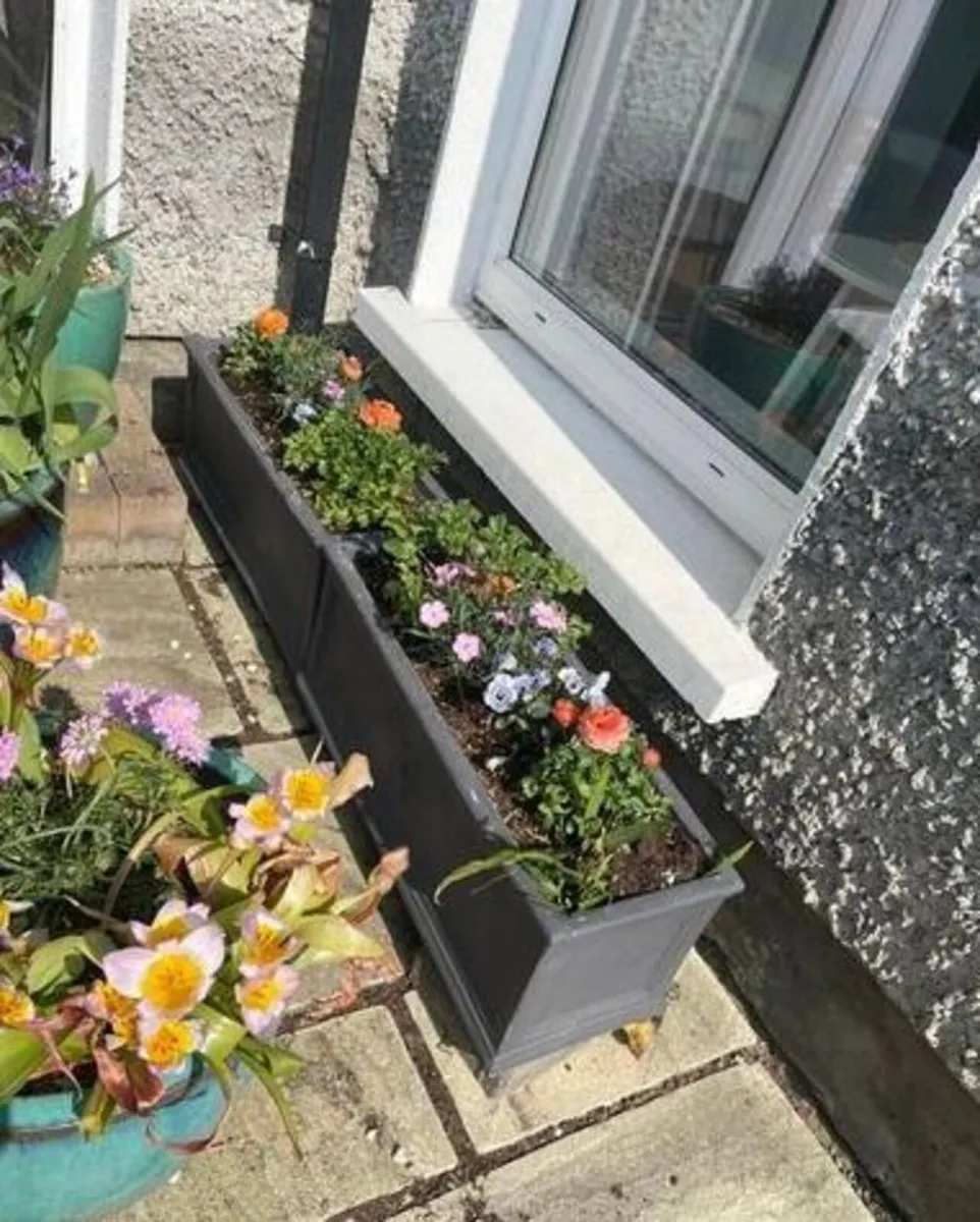Grey JC & Co Rectangular Trough Flower Pots - Image 4