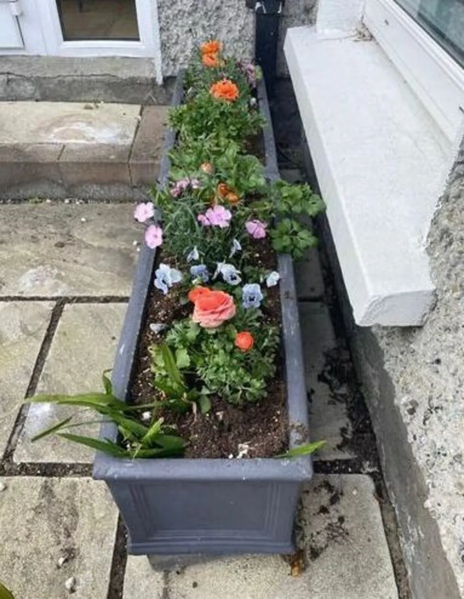Grey JC & Co Rectangular Trough Flower Pots - Image 3