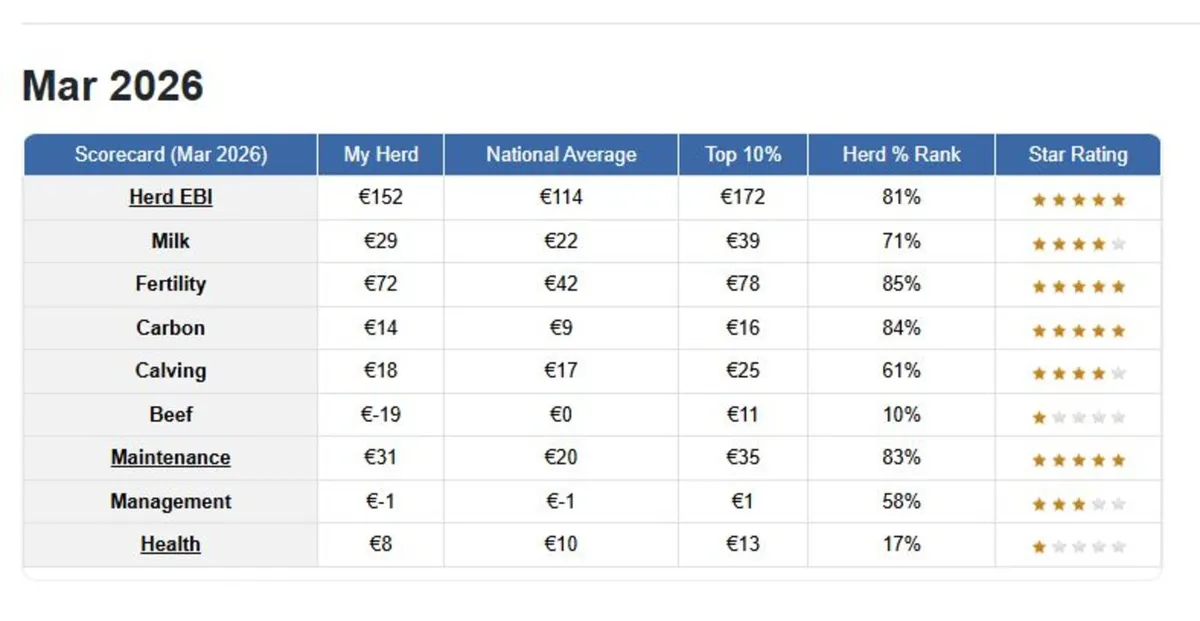 Dairy Calves 6-10 weeks old - Image 1
