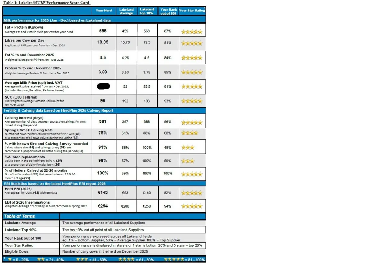 Dairy Calves 6-10 weeks old - Image 3