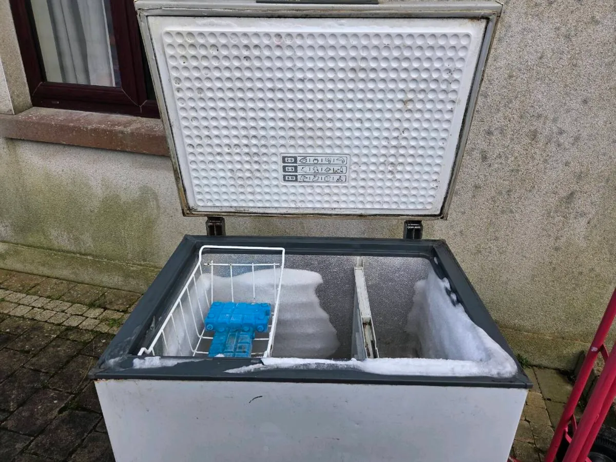Freezer - Image 2