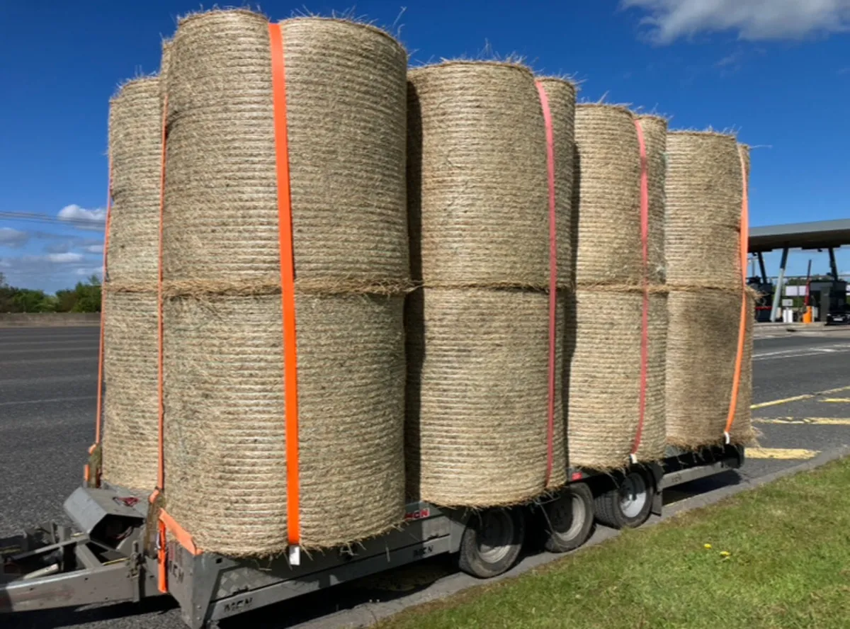 HAY & STRAW         **ALL TOP QUALITY ** - Image 1