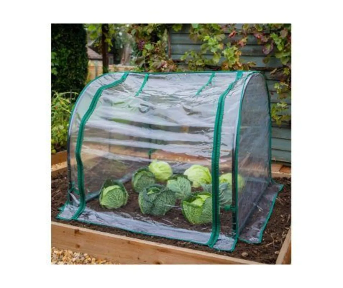 Seedling Cloche - Image 1
