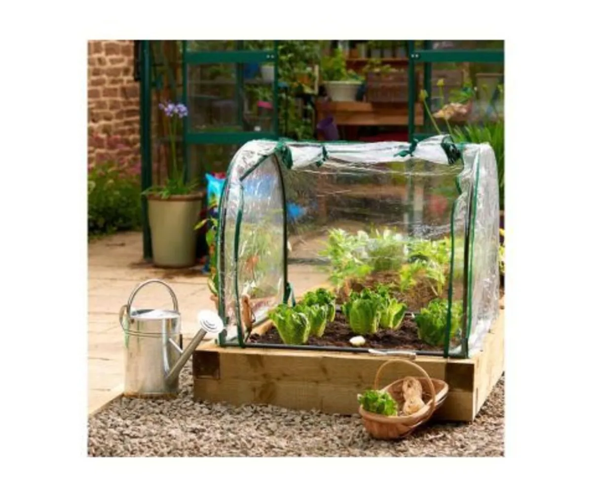 Seedling Cloche - Image 2