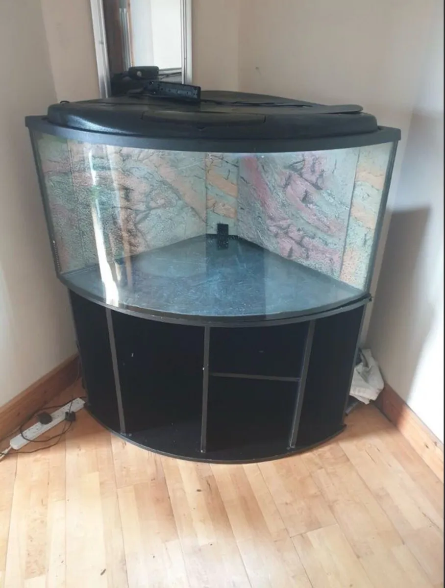 Fish tank - Image 3