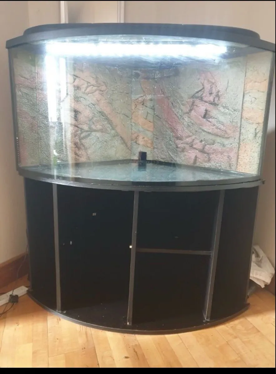 Fish tank - Image 1