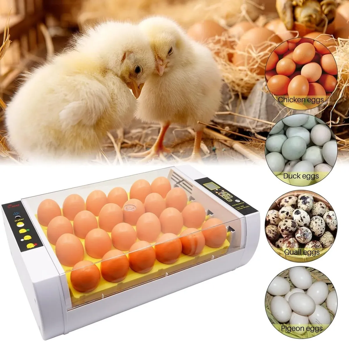 24 Egg Incubator Digital Temp Control Auto Hatch - Image 3