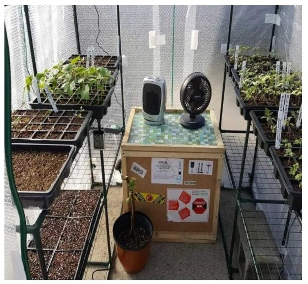 24 Cell Seed Tray Propagator Adjustable Vents - Image 4