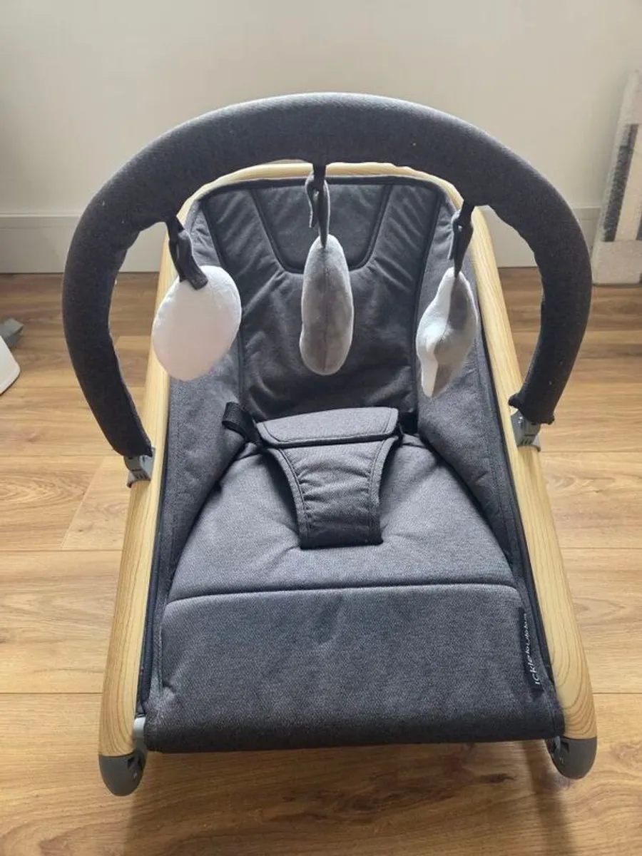 Baby Bouncer - Image 1
