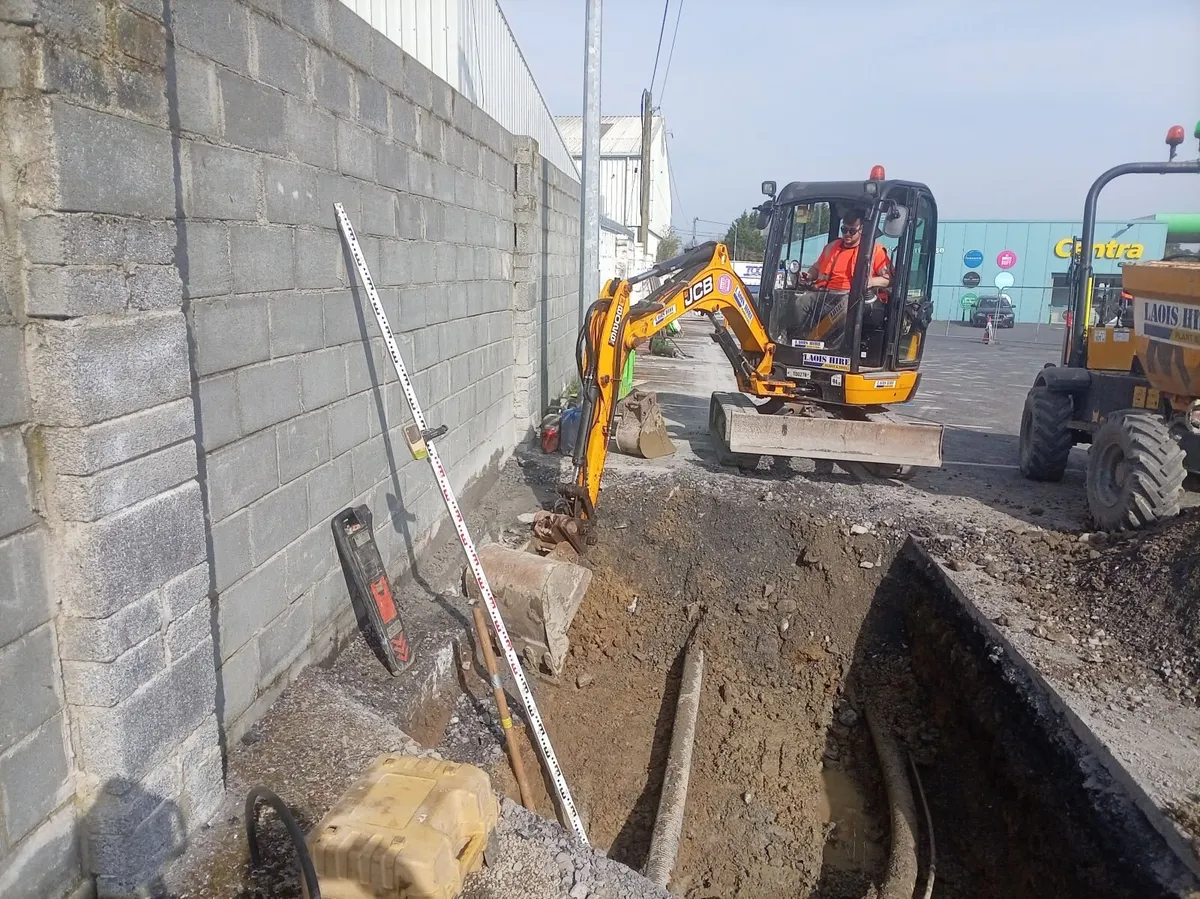 Mini digger hire/ home maintenance - Image 4