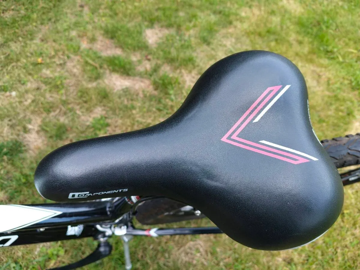 Ladies Bike - Image 2