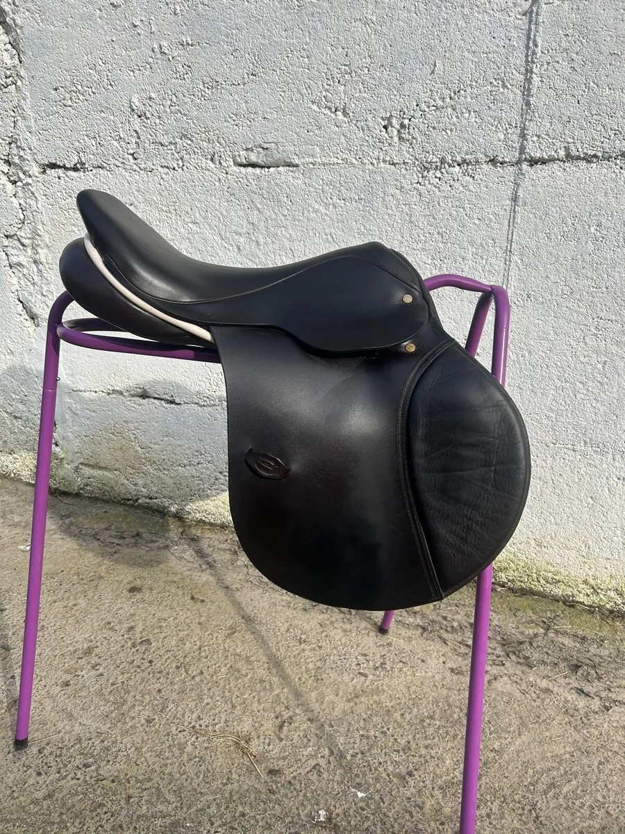 Berney saddle - Image 1