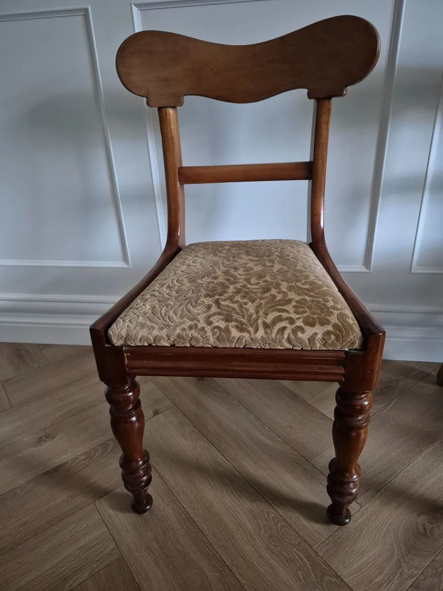 Dining room chairs - Image 1