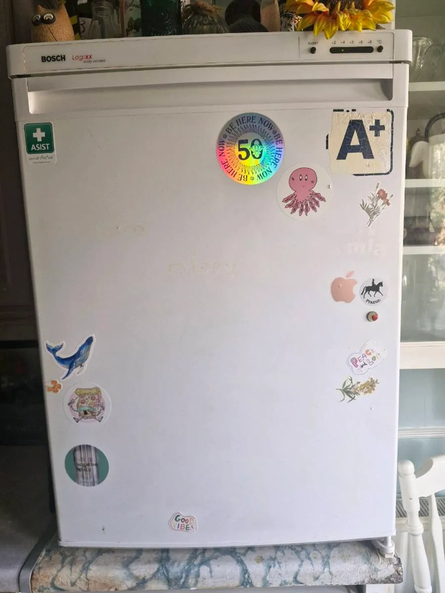 Bosch Fridge