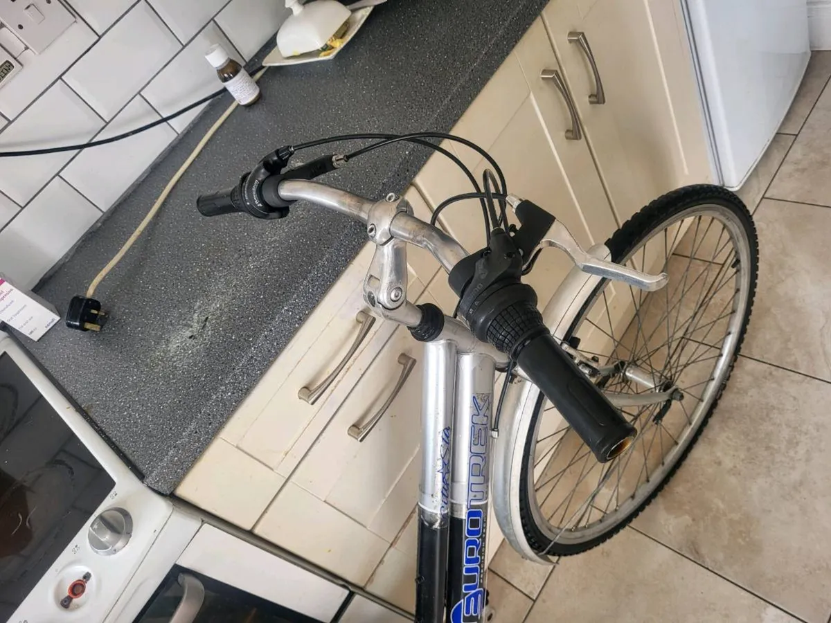 Ladies bike - Image 2