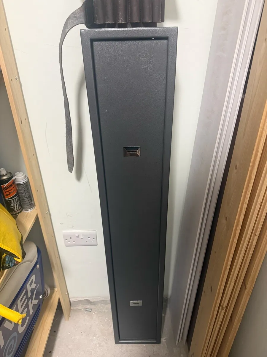 Safe 3 gun - Image 1