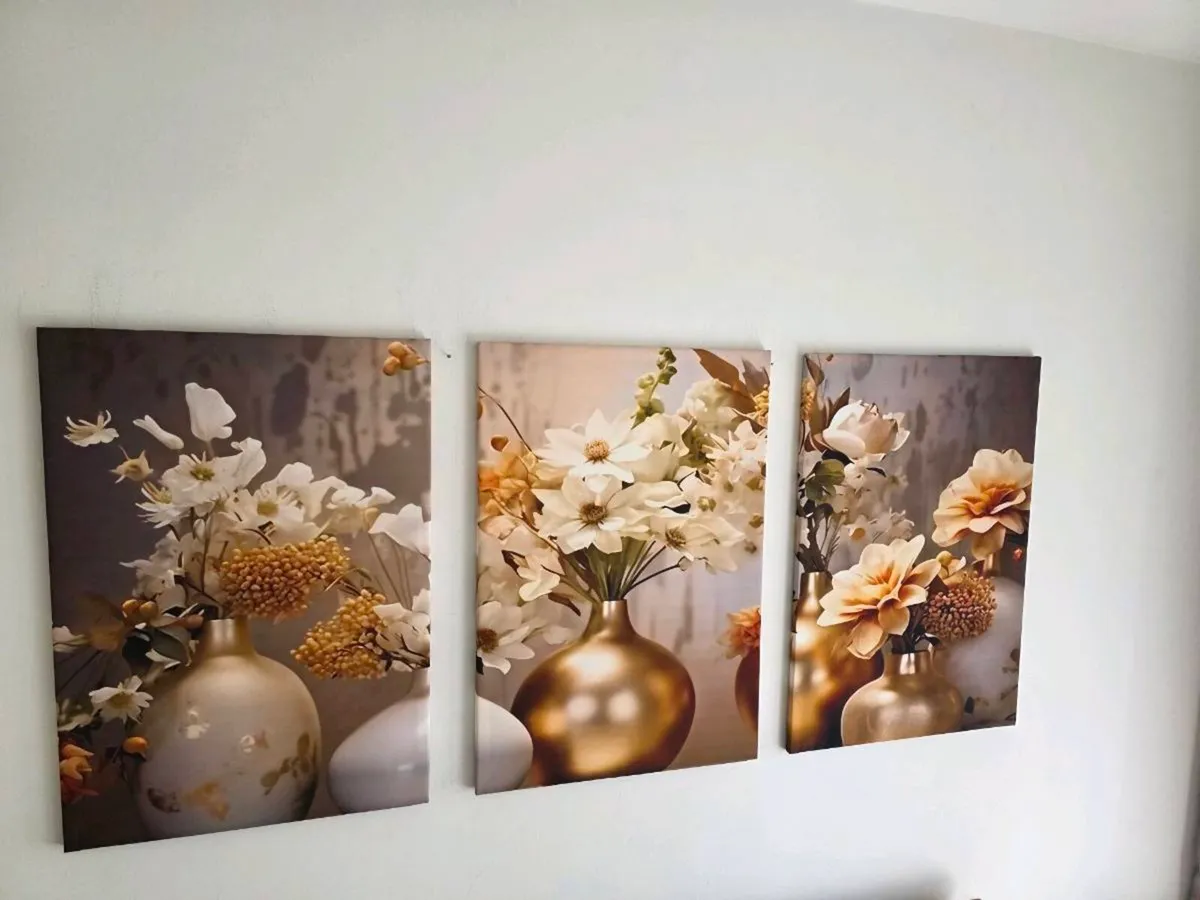 3 canvas 46x66cm each - Image 1