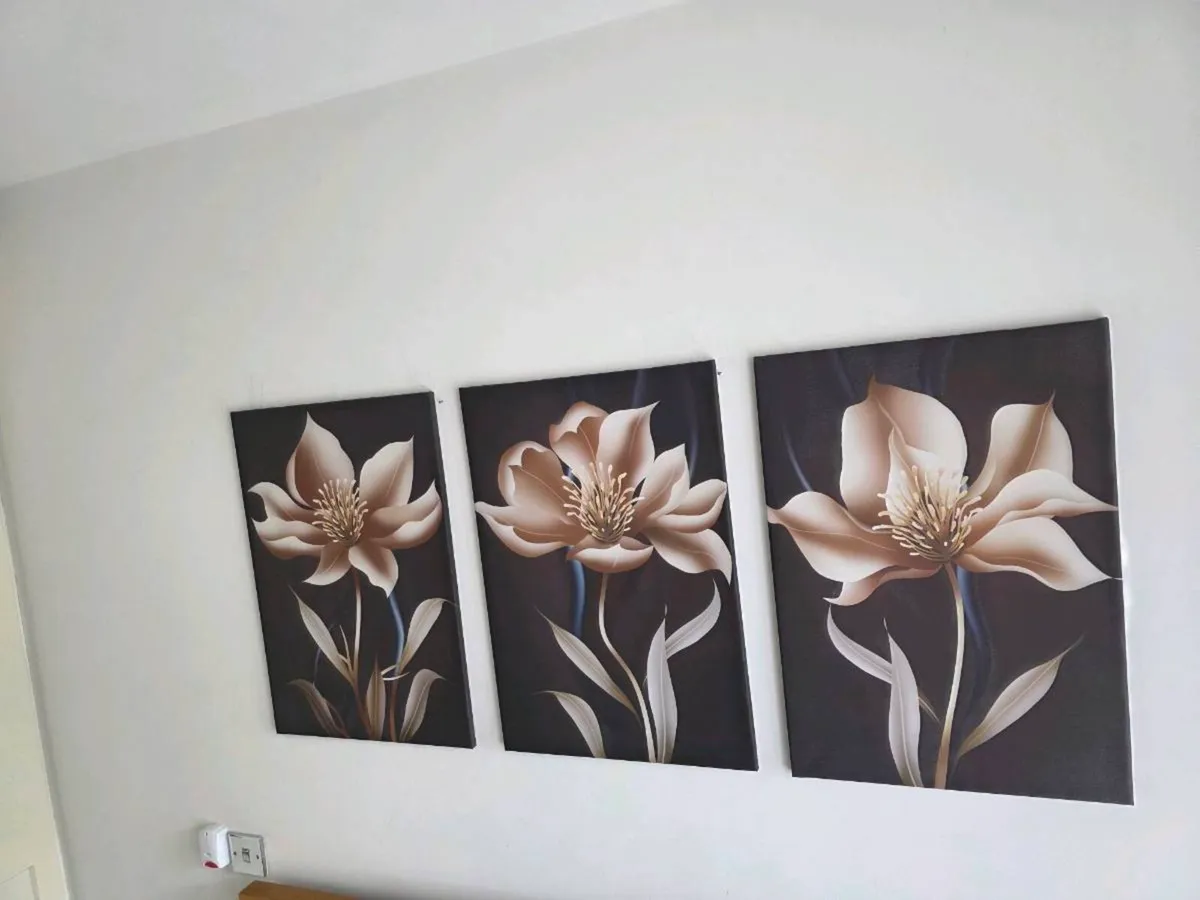 3 canvas 46x66cm each - Image 3