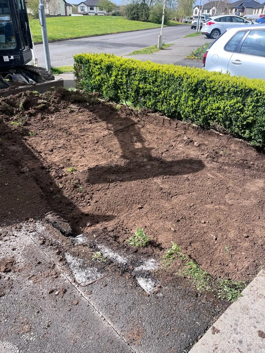 Plants and landscaping - Image 1