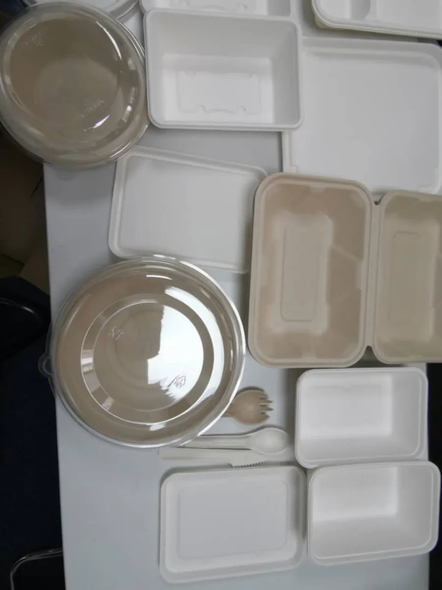 Bagasse Packaging biodegradable - Image 1