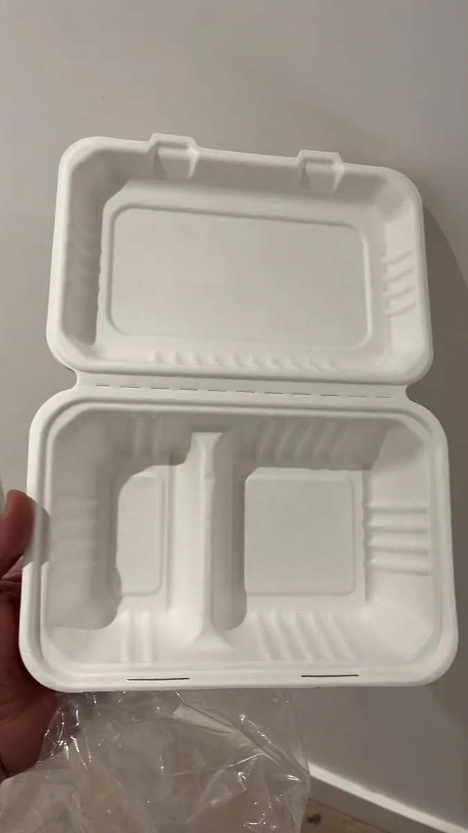 Bagasse Packaging biodegradable - Image 2