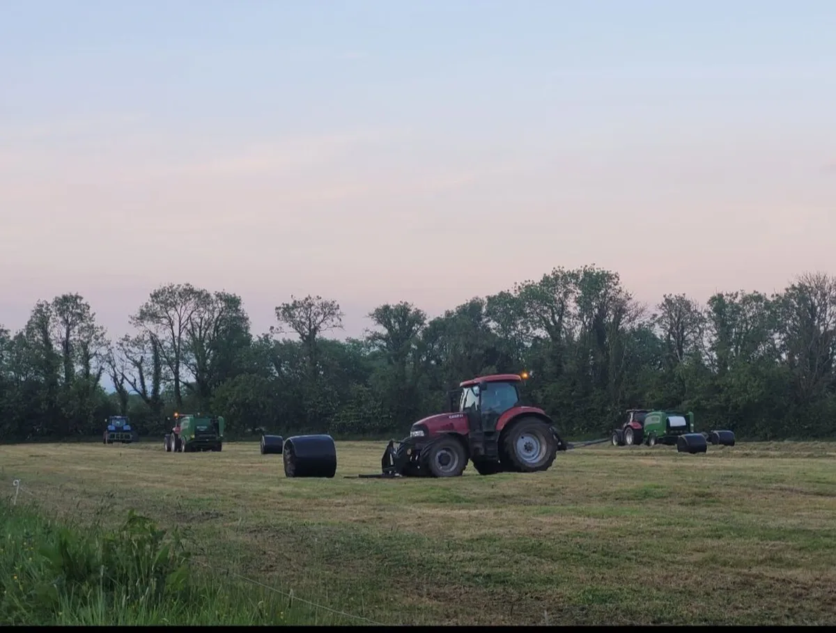 40 acres for 1st&2nd cut silage - Image 2