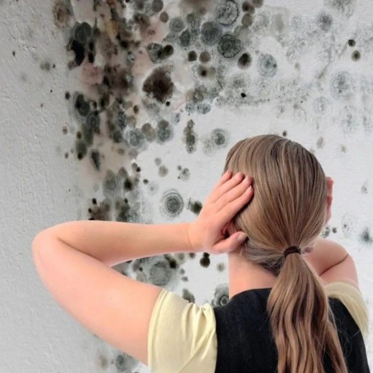 DELTA PT - Moisture-blocking dimpled sheet - Image 1