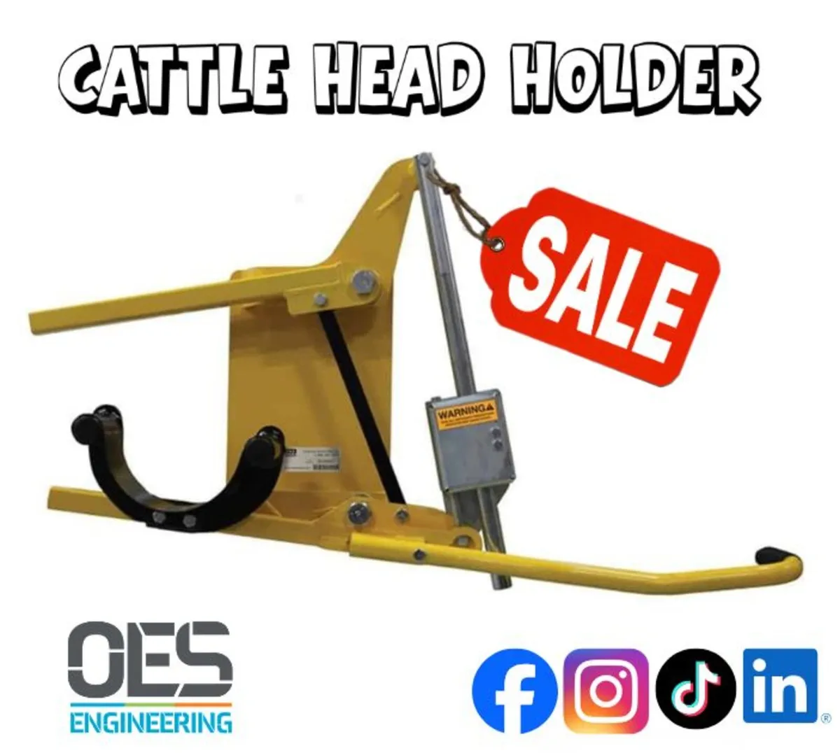 Cattle Head Holder