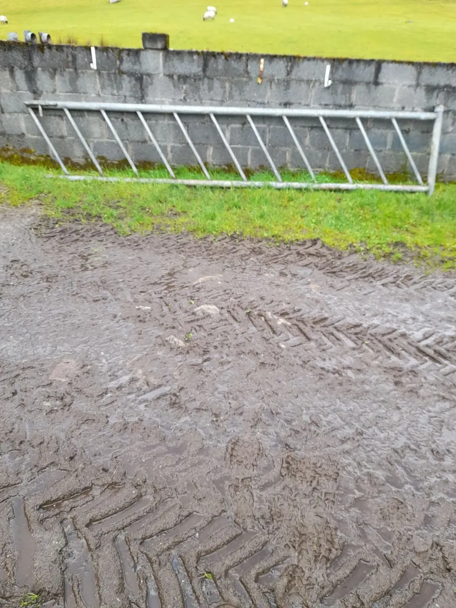 Cattle feeding barriers - Image 1