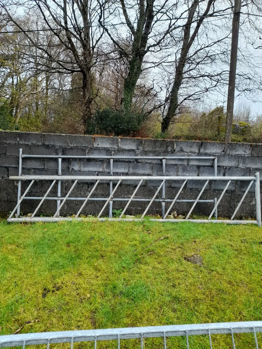 Cattle feeding barriers - Image 2
