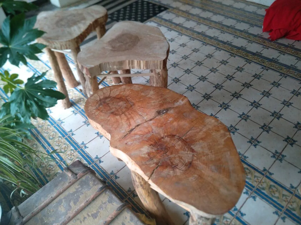 Storm Eowyn Furniture - Image 2