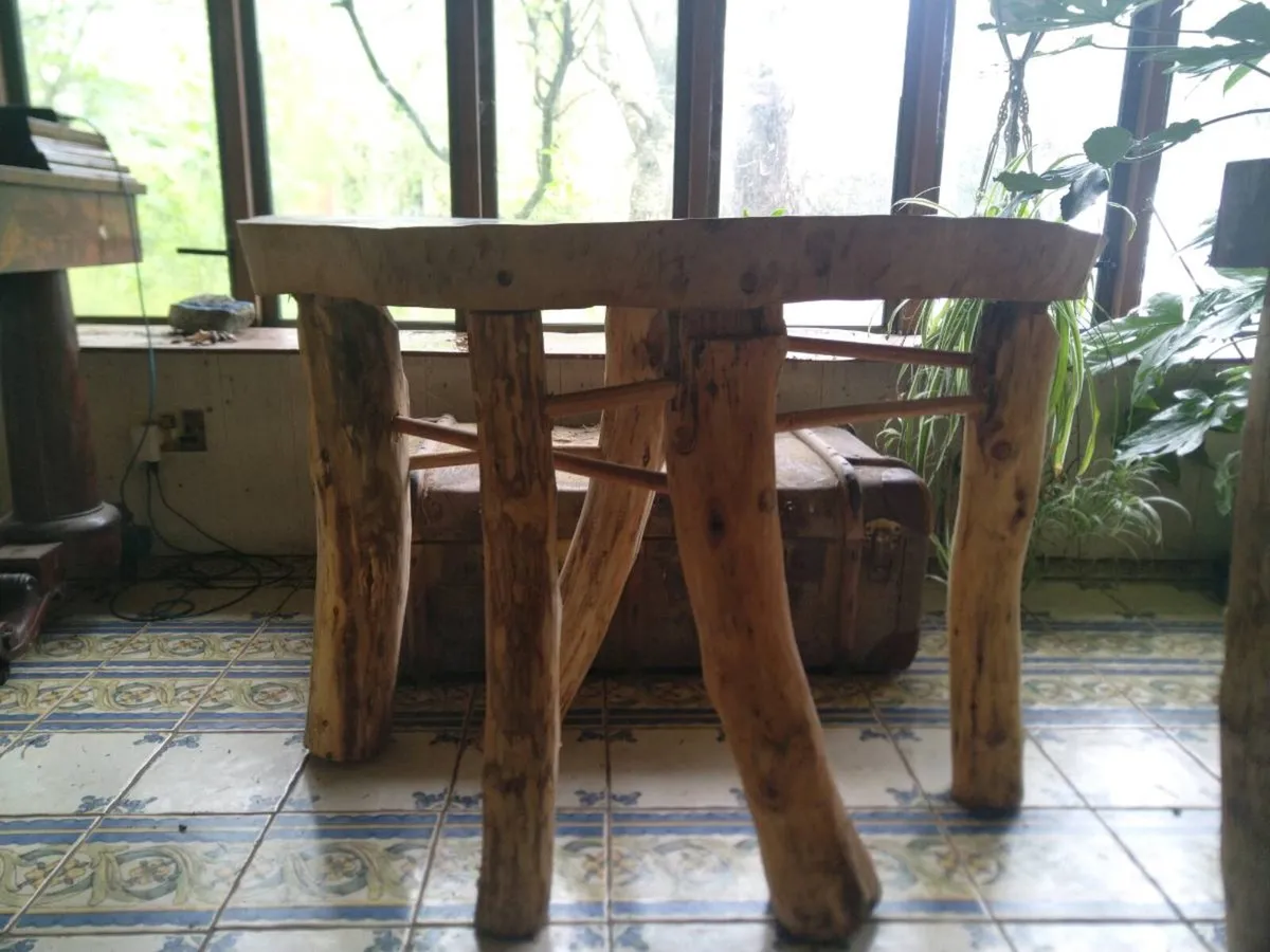 Storm Eowyn Furniture - Image 3