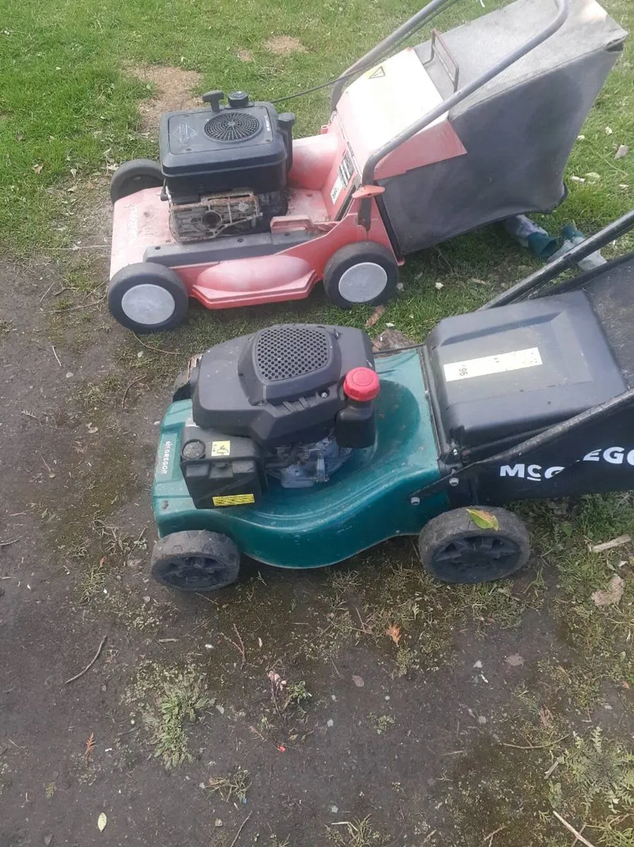2 mowers - Image 1