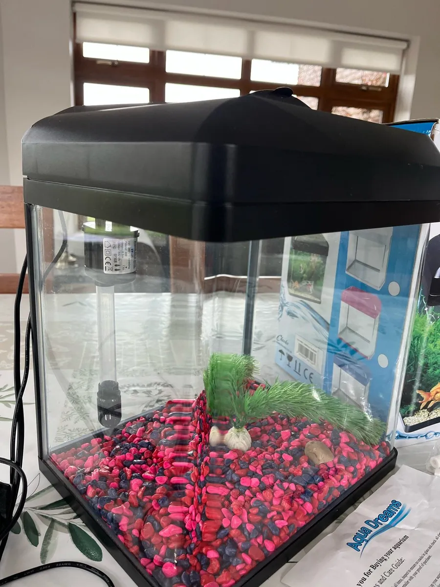 Fish Tank Coldwater Aquarium - Image 3