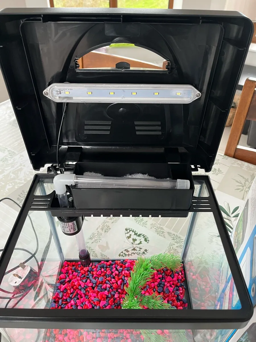 Fish Tank Coldwater Aquarium - Image 4