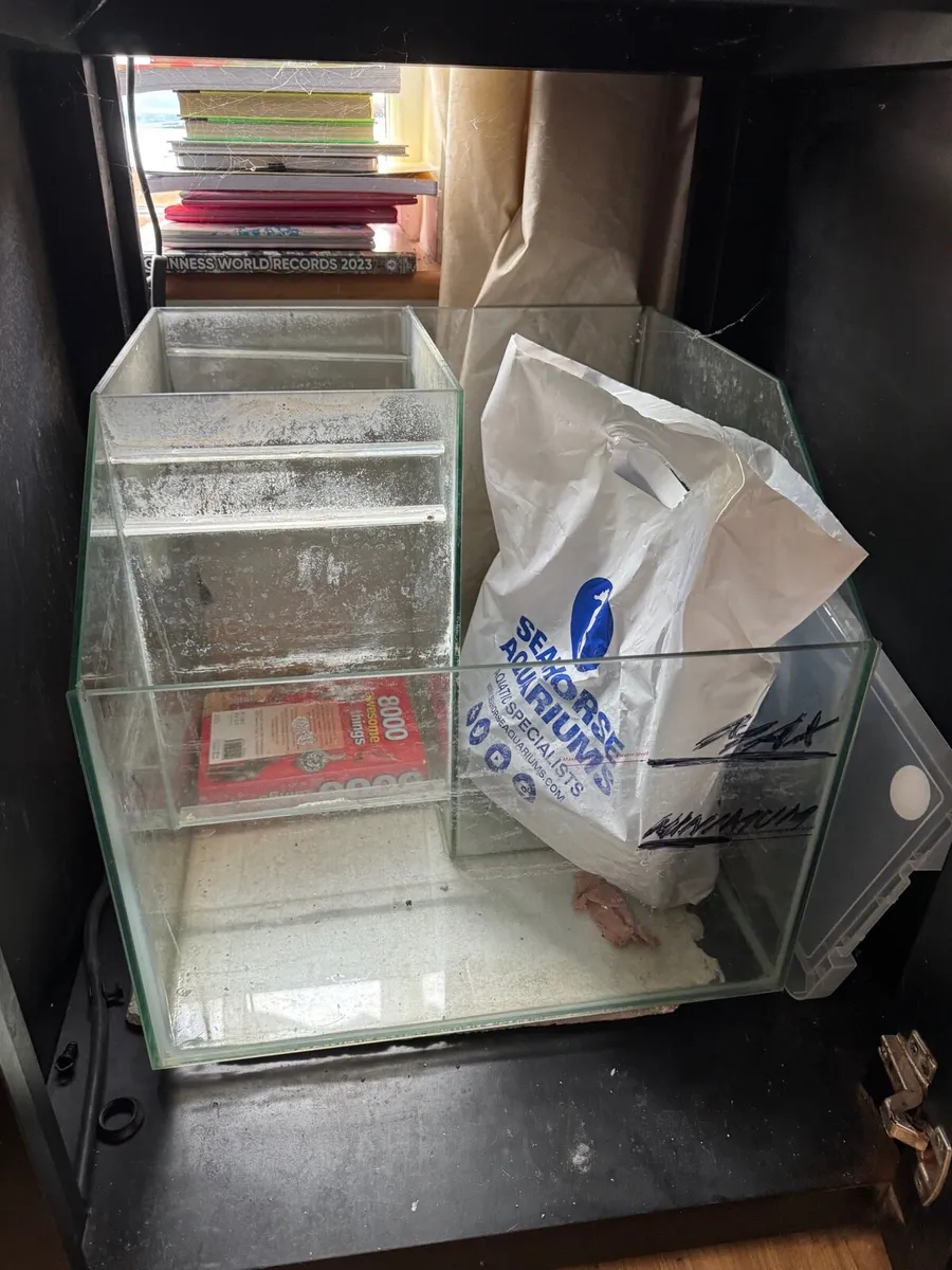 Fish tank - Image 3