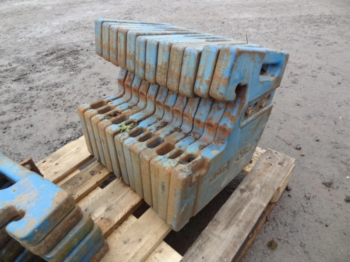 Ford 40KG Weight Slices - Image 2