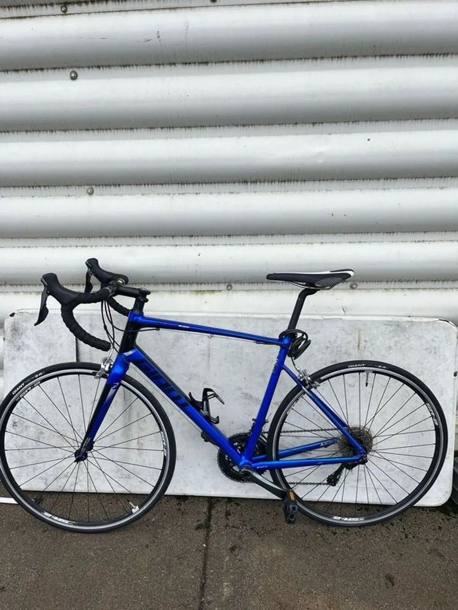 Giant 2 Contend (Rare Blue) - Image 2