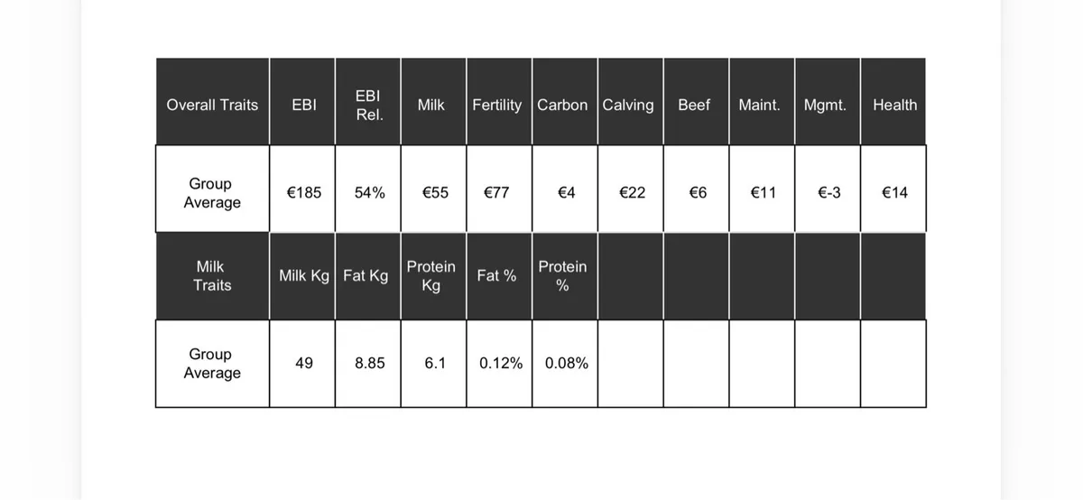 Weaned fr heifer calves - Image 3