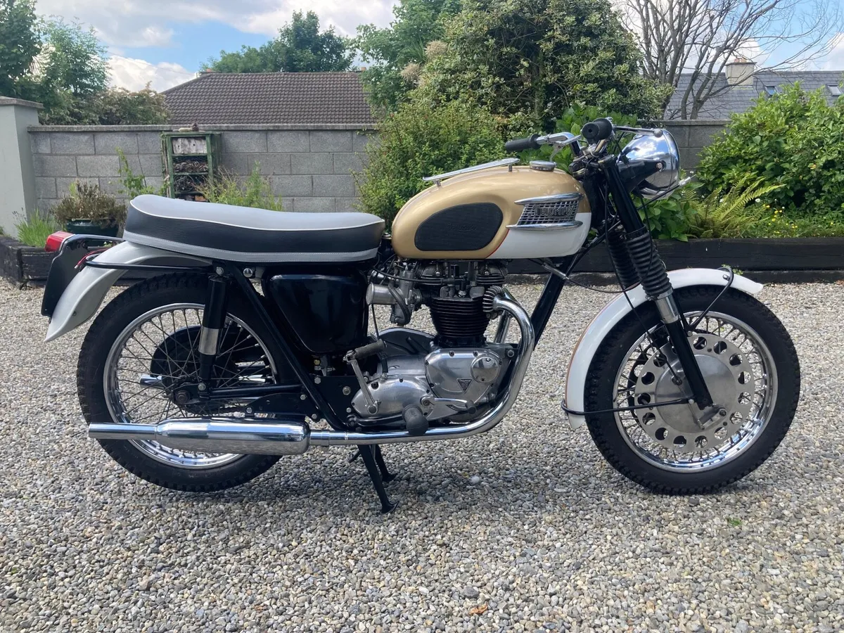 Triumph Bonneville - Image 4