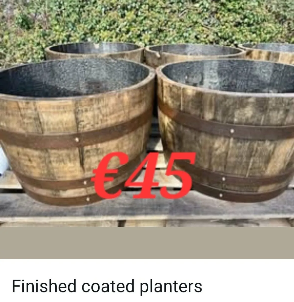 Whiskey barrels - Excellent quality oak barrels - Image 3