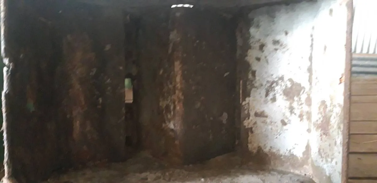 Ferguson potato dropper - Image 2