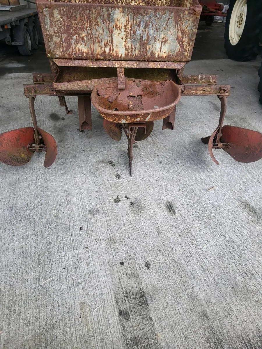 Massey ferguson drill plough - Image 1