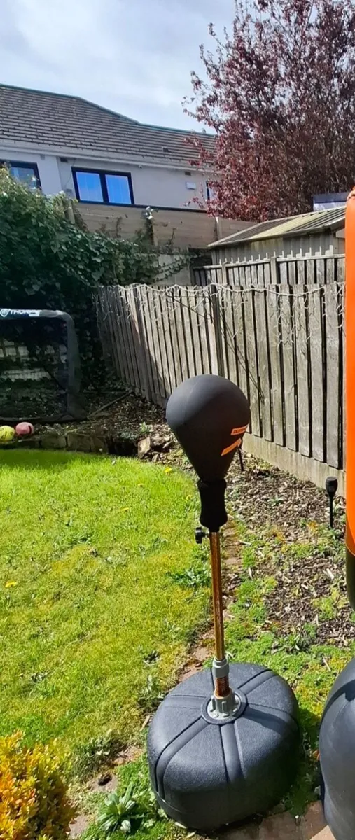 Boxing punching ball