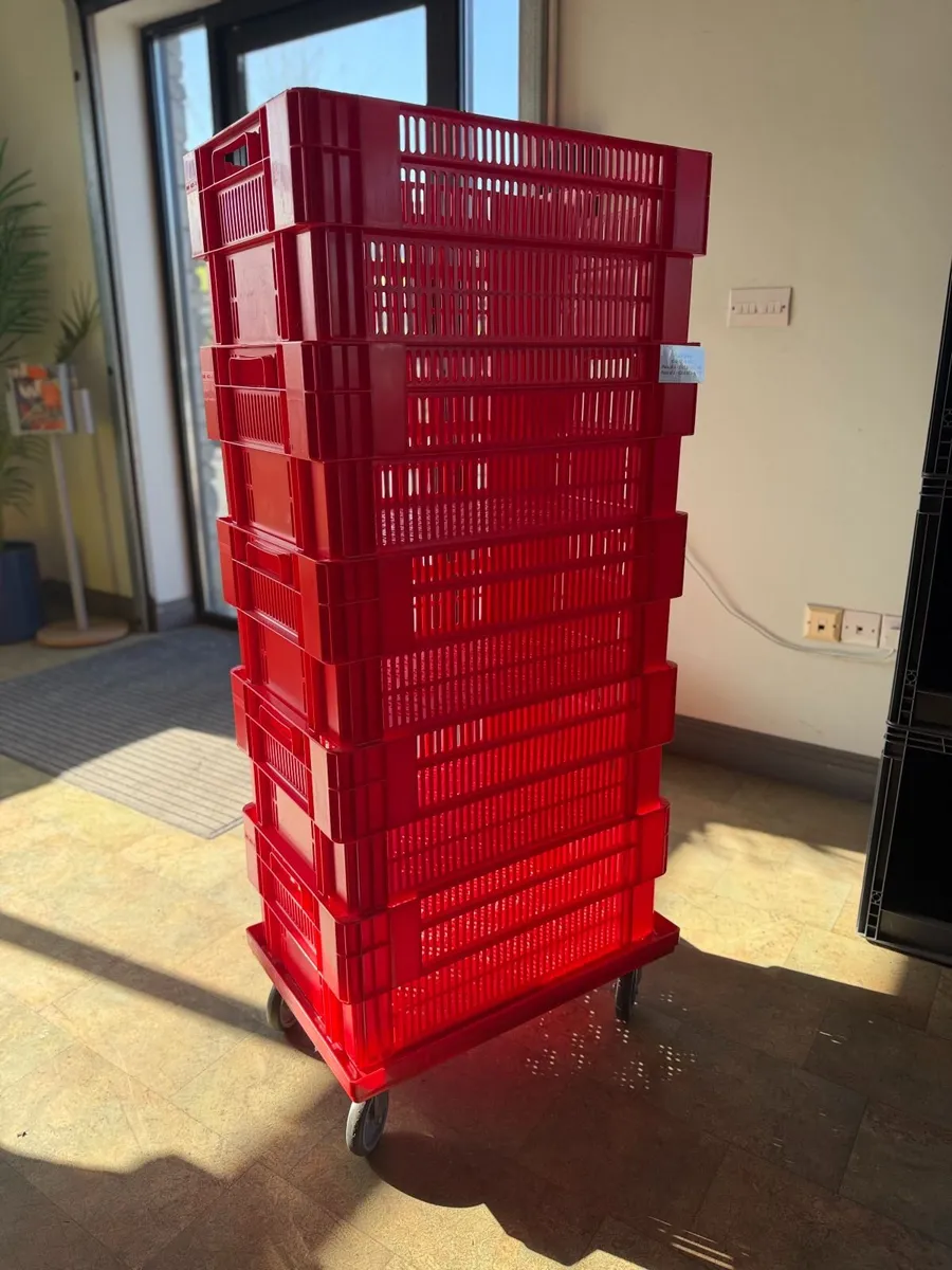 Plastic dollys on wheels - Image 2