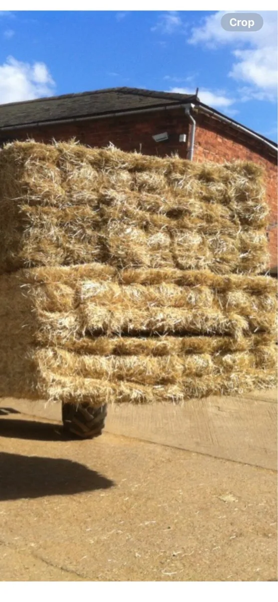 Hay straw - Image 2
