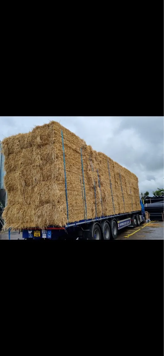 Hay straw - Image 3