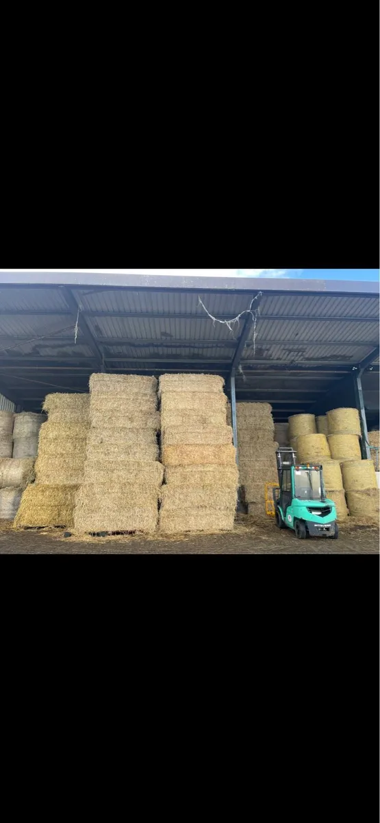 Hay straw - Image 1