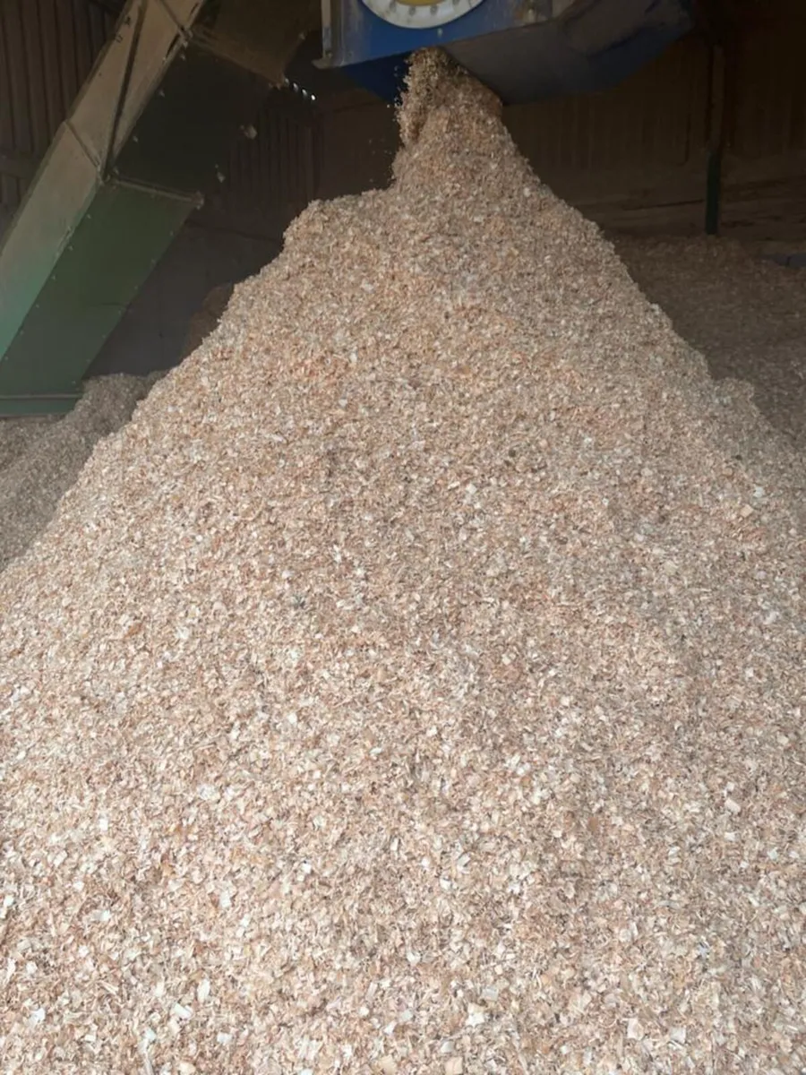 Dust Free Baled Wood Shavings - Image 4